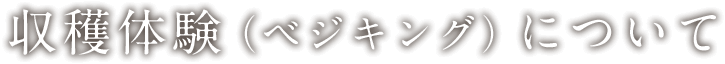 収穫体験（ベジキング）について